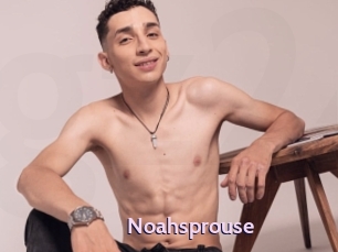 Noahsprouse
