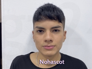 Nohascot