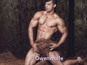 owenwolfe Gay Zone 24