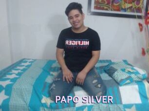 PAPO_SILVER