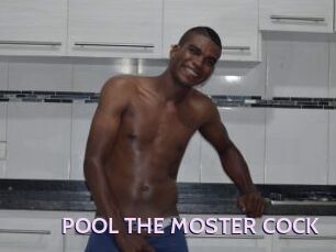 POOL_THE_MOSTER_COCK