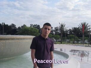 PeaceofLoves
