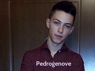 Pedrogenove