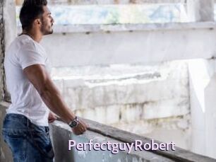 PerfectguyRobert