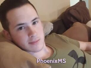 PhoenixMS