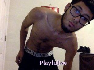 PlayfulJoe