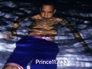 Prince112233