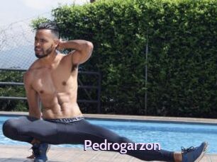 Pedrogarzon