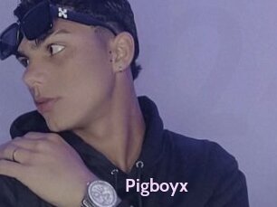 Pigboyx