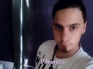 Pileeross