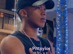 pittaylor Gay Zone 24
