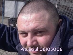 Pituliciul-06105006