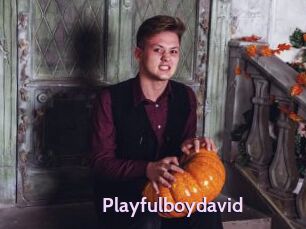 Playfulboydavid