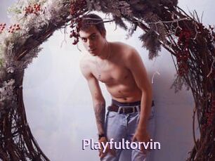 Playfultorvin