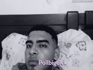 Pollbigdick