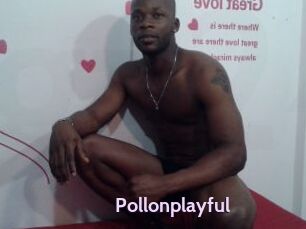 Pollonplayful