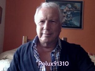 Polux91310