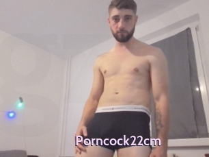 Porncock22cm