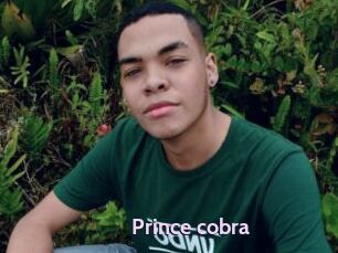 Prince_cobra