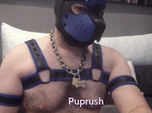 Puprush