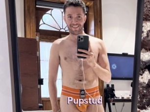 Pupstud