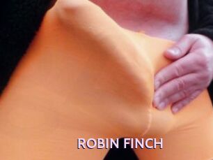 ROBIN_FINCH