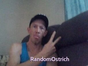 RandomOstrich