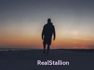 RealStallion