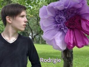 Rodrigie