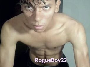 RogueBoy22