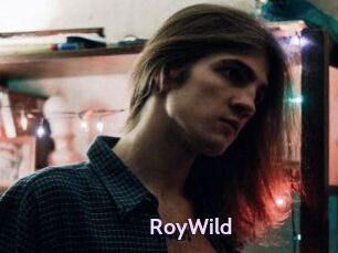 RoyWild