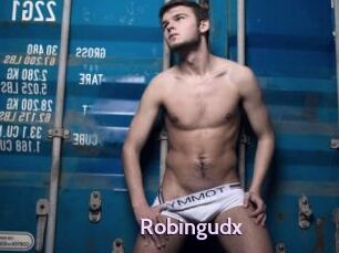 Robingudx
