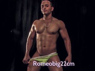 Romeobig22cm
