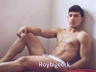 Roybigcock