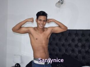 Santynice