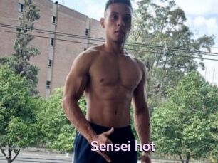 Sensei_hot