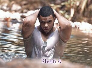 Shein_A