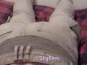 ShyFem