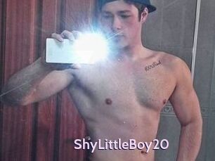 ShyLittleBoy20