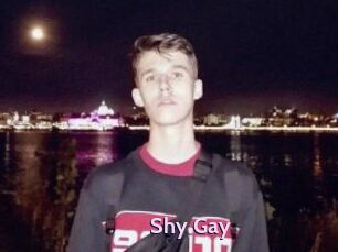 Shy_Gay