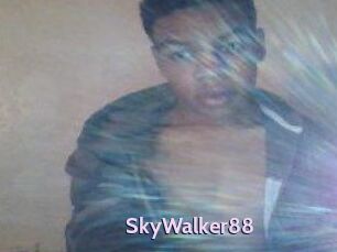 SkyWalker88