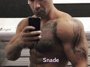 Snade