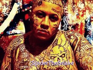SpiderTheSnake