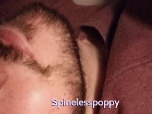 Spinelesspoppy