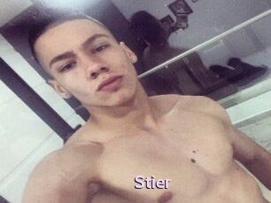 Stier