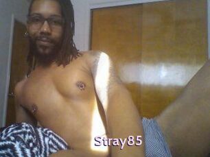 Stray85