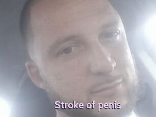 Stroke_of_penis