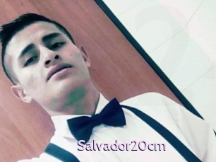 Salvador20cm