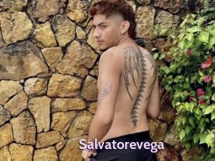 Salvatorevega