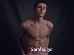 Samledger